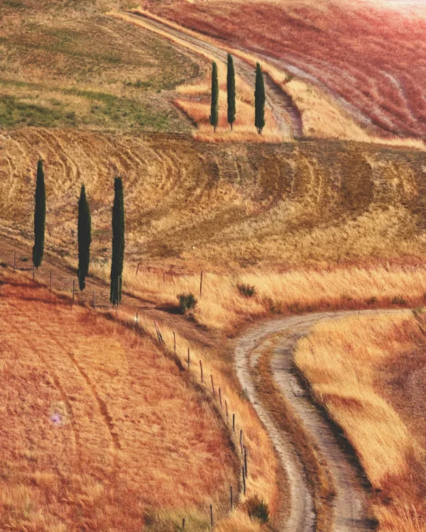 En hvid strade bianche-grusvej der stiger gennem Appenninernes udløbere mod Val d'Orcia i Toscana