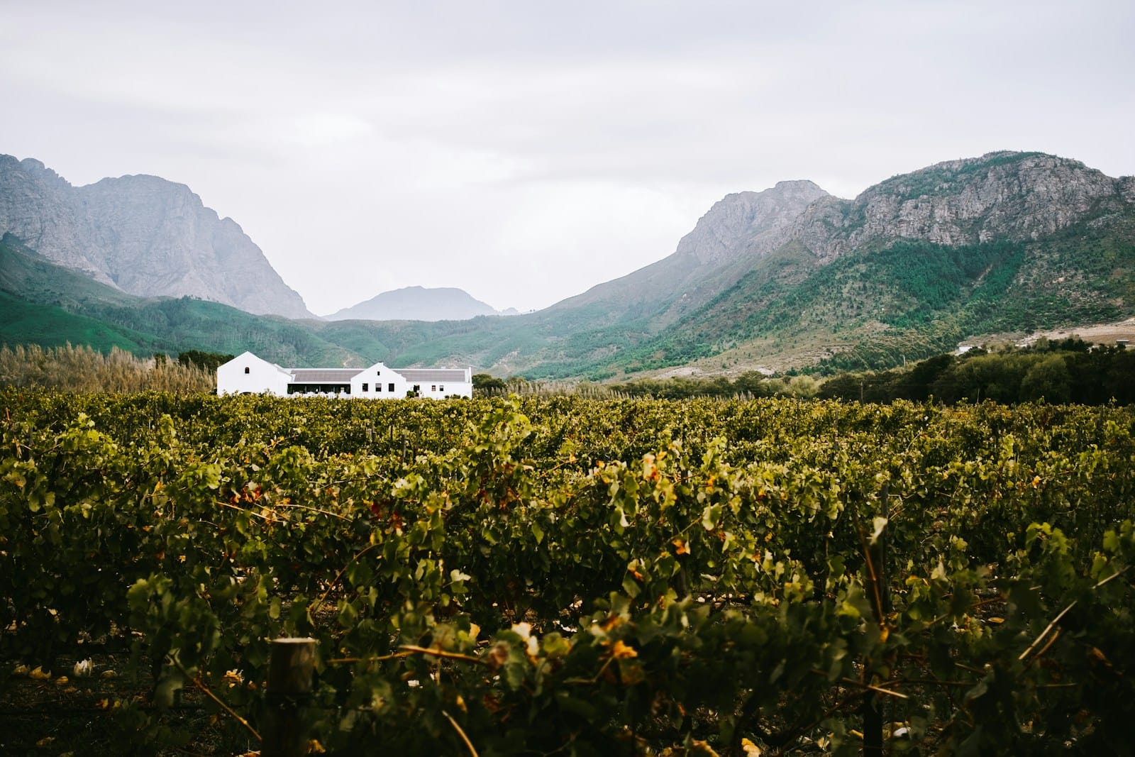 Et vingårdsgæstehus i Cape Winelands på gravelturen i Sydafrika