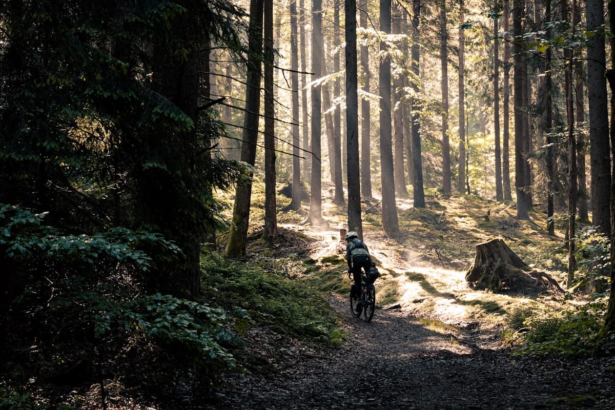 Syklist på en grusvei ved soloppgang gjennom tåkete kupert landskap